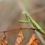 Ursachen für trockene Haut