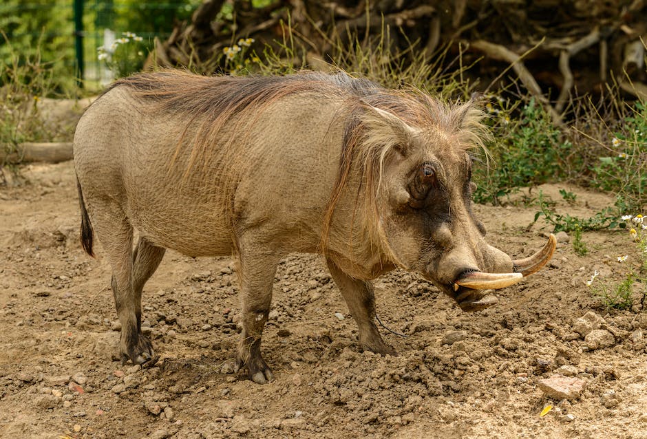 Tipps zur Behandlung von trockener Haut und Pickel